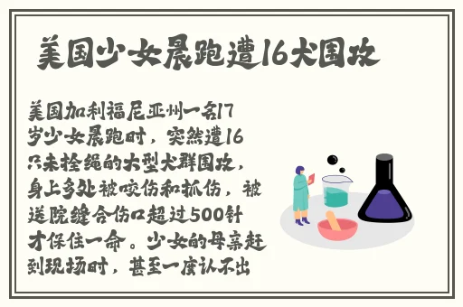 欧洲精品A片一区二区免费