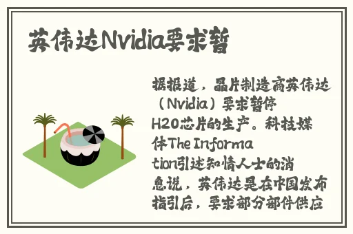 xbox免费看高清视频